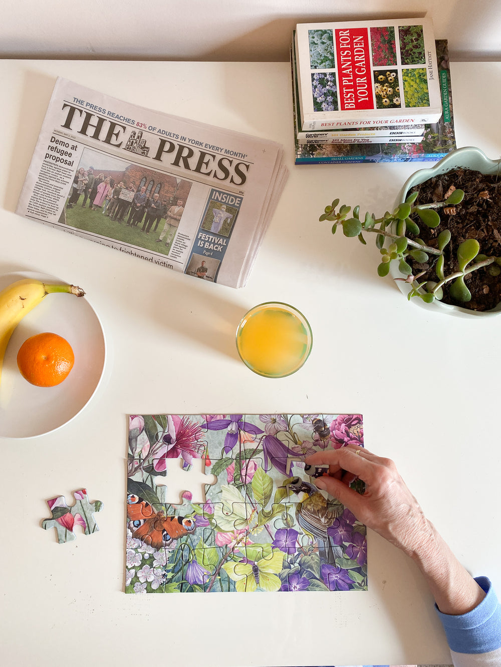 The Garden – 24 XL Piece Jigsaw Puzzle (Gibsons)