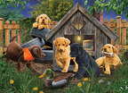 In the Doghouse – 1000 Piece Jigsaw Puzzle (Cobble Hill)