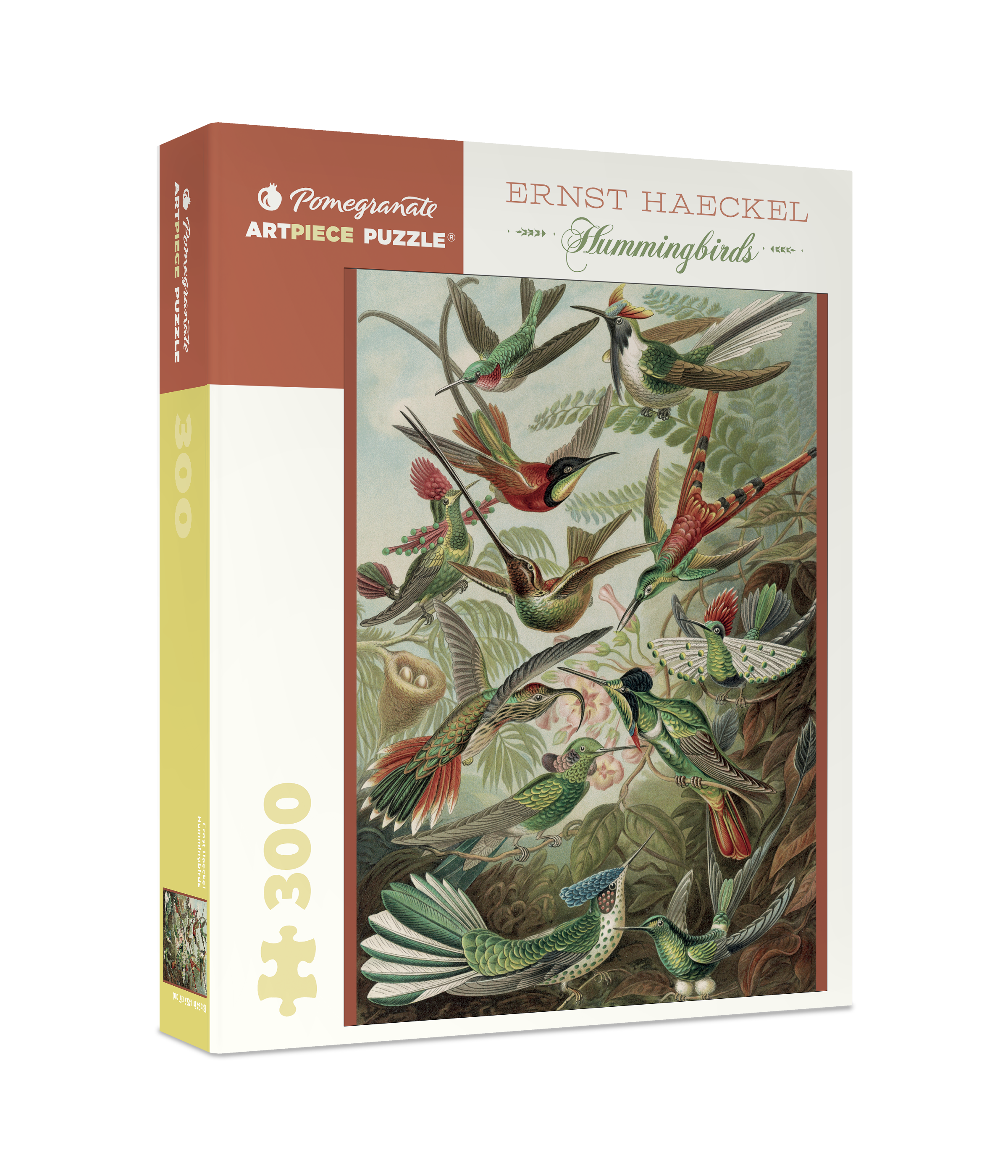Hummingbirds by Ernst Haeckel – 300 Piece Jigsaw Puzzle (Pomegranate)
