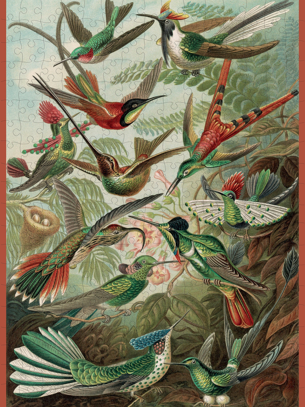 Hummingbirds by Ernst Haeckel – 300 Piece Jigsaw Puzzle (Pomegranate)