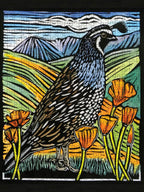 California Quail by Molly Hashimoto – 500 Piece Jigsaw Puzzle (Pomegranate)