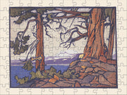 101 - 250 Pieces