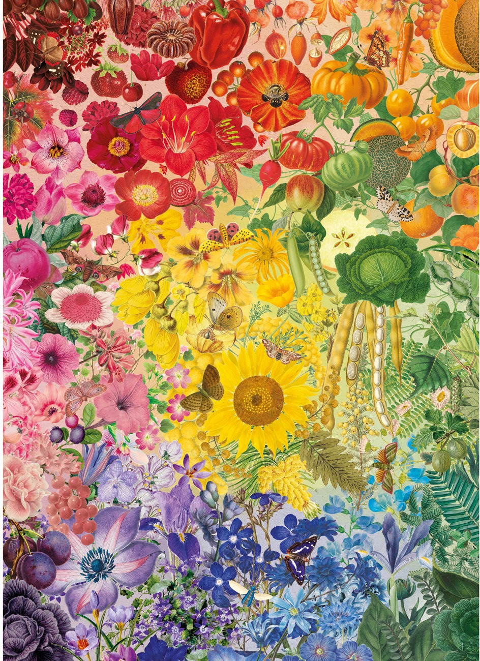 Artwork: RHS: Colours of Nature - 1000 Piece Jigsaw Puzzle (Gibsons)