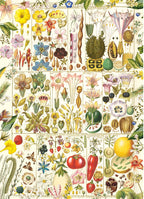 Artwork: Botanical Bliss – 1000 Piece Jigsaw Puzzle (Gibsons)