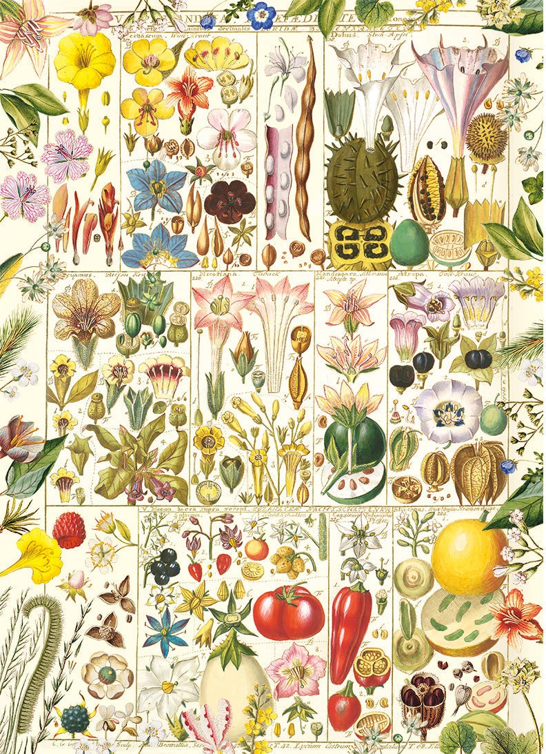 Artwork: Botanical Bliss – 1000 Piece Jigsaw Puzzle (Gibsons)