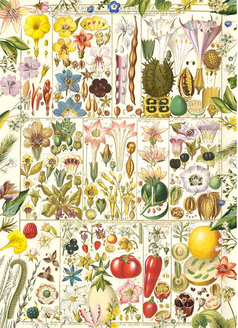 Artwork: Botanical Bliss – 1000 Piece Jigsaw Puzzle (Gibsons)