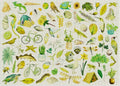 Artwork: Green – 1000 Piece Jigsaw Puzzle (Cloudberries)