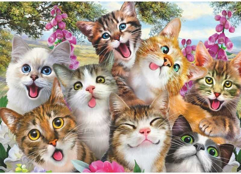 Artwork: Cat Selfie – 500 Piece Jigsaw Puzzle (Schmidt)