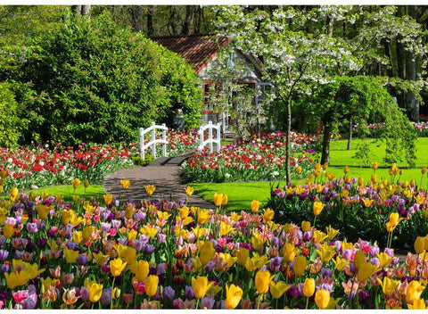 Artwork: Beautiful Gardens – Netherlands – 1000 Piece Jigsaw Puzzle (Ravensburger)
