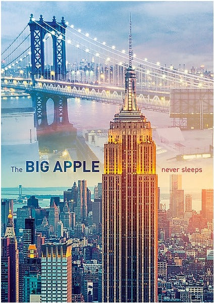 Artwork: New York at Dawn – 1000 Piece Jigsaw Puzzle (Trefl)