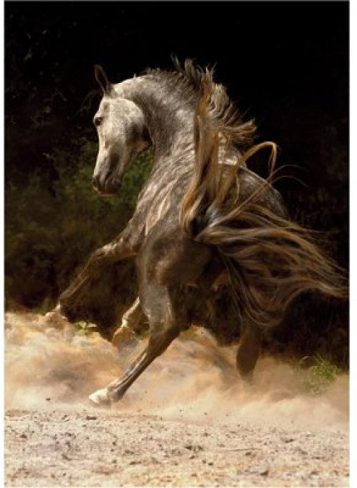 Artwork: Horses: Horse in the Dust – 1000 Piece Jigsaw Puzzle (Dtoys)
