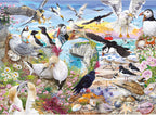 Artwork, puzzle 3 of 4: RSPB: Wings in the Wild - 4 x 500 Piece Jigsaw Puzzles (Gibsons)