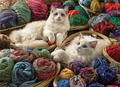 Ragdolls – 1000 Piece Jigsaw Puzzle (Cobble Hill)