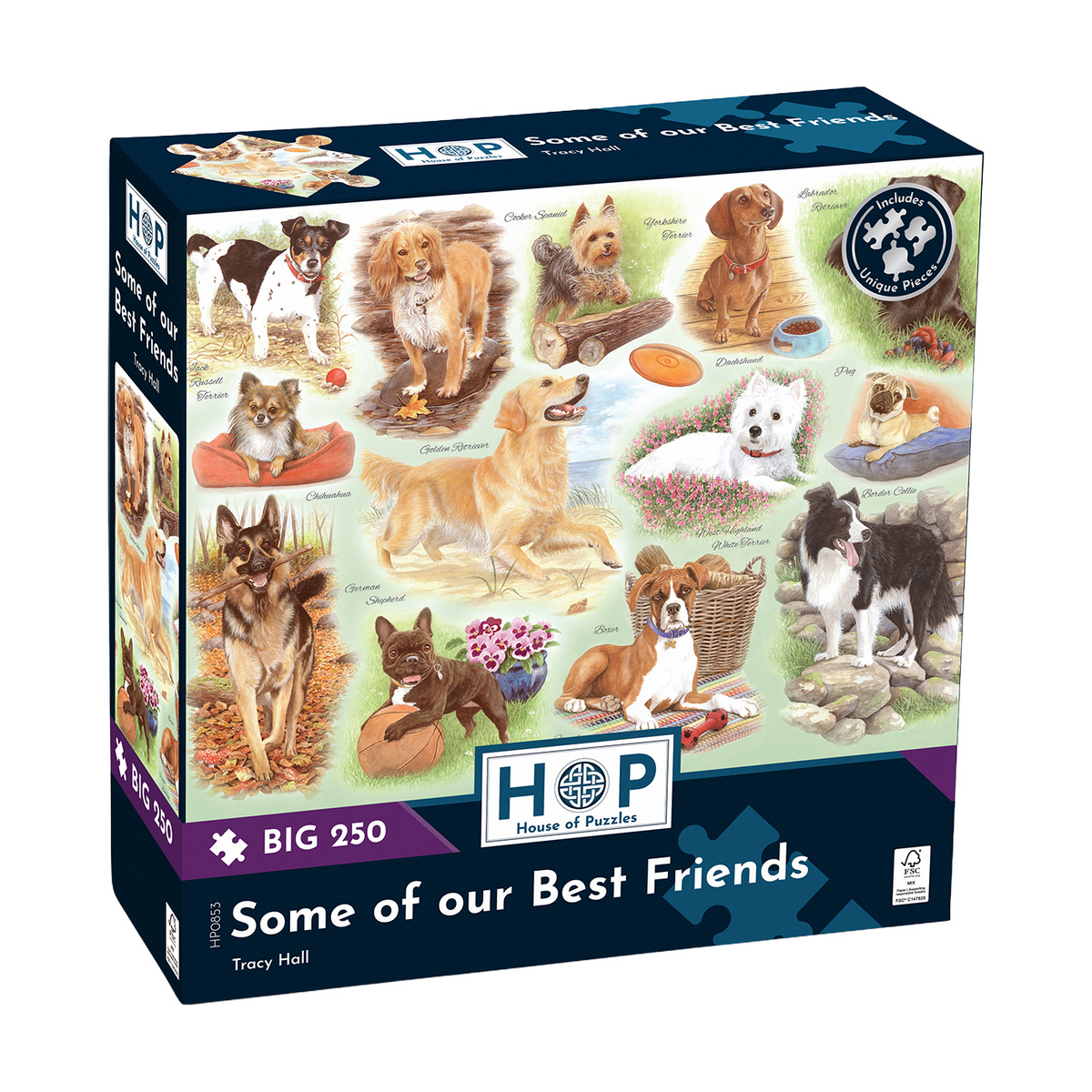 Box, turned right: Some of our Best Friends by Tracy Hall - 250 Piece Big Jigsaw Puzzle (House of Puzzles)