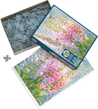 Box open: Summer Rainbow - 500 Piece Jigsaw Puzzle (Cobble Hill)