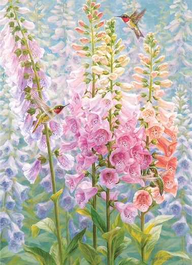 Artwork: Summer Rainbow - 500 Piece Jigsaw Puzzle (Cobble Hill)