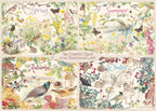 Artwork: The Country Diary 4 Seasons – 1000 Piece Jigsaw Puzzle (Falcon de luxe)