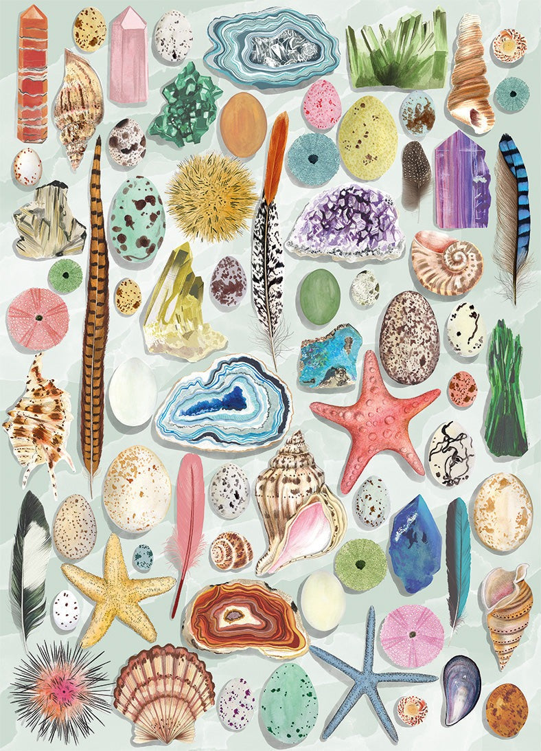 Artwork: Natural Curiosities – 1000 Piece Jigsaw Puzzle (Gibsons Art File)