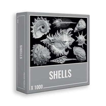 Cloudberries - Shells - 1000 Piece Jigsaw Puzzle