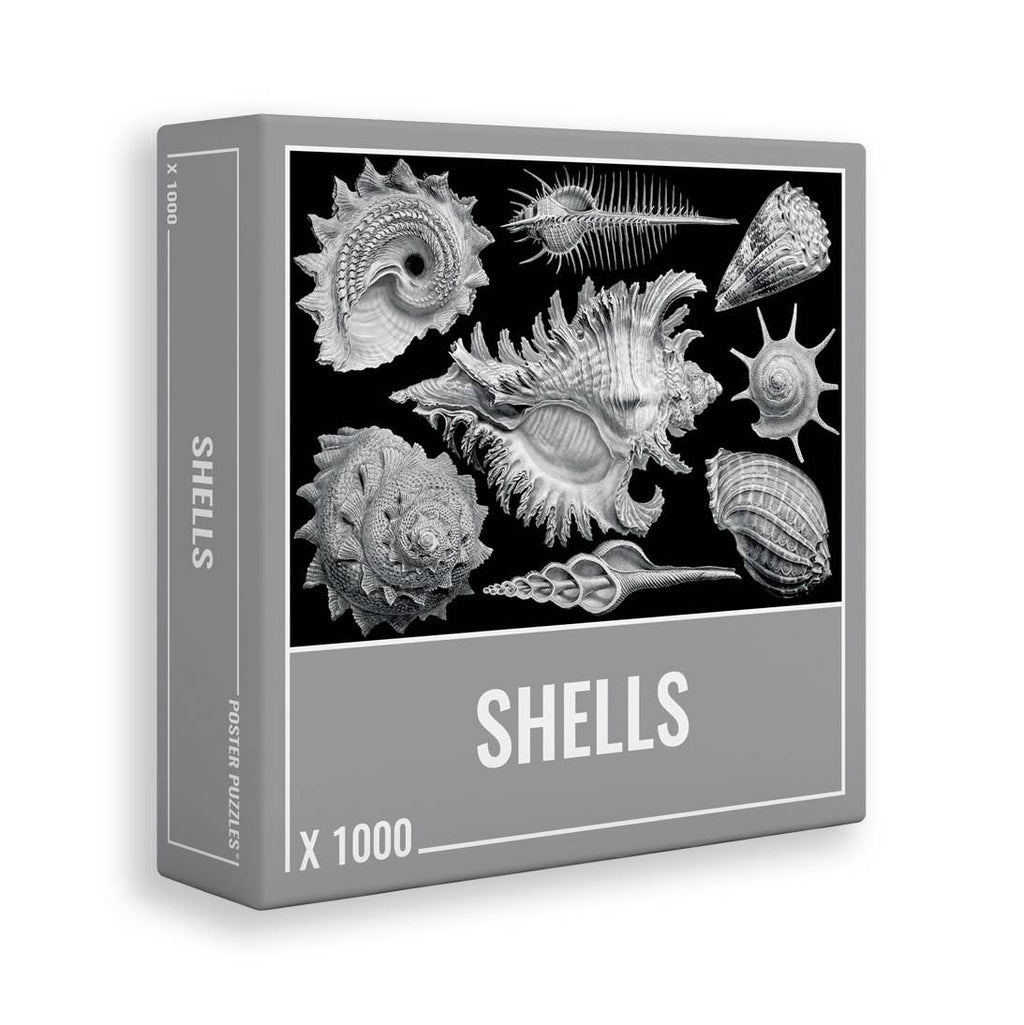 Shells – 1000 Piece Jigsaw Puzzle (Cloudberries)