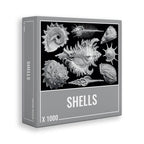 Shells – 1000 Piece Jigsaw Puzzle (Cloudberries)