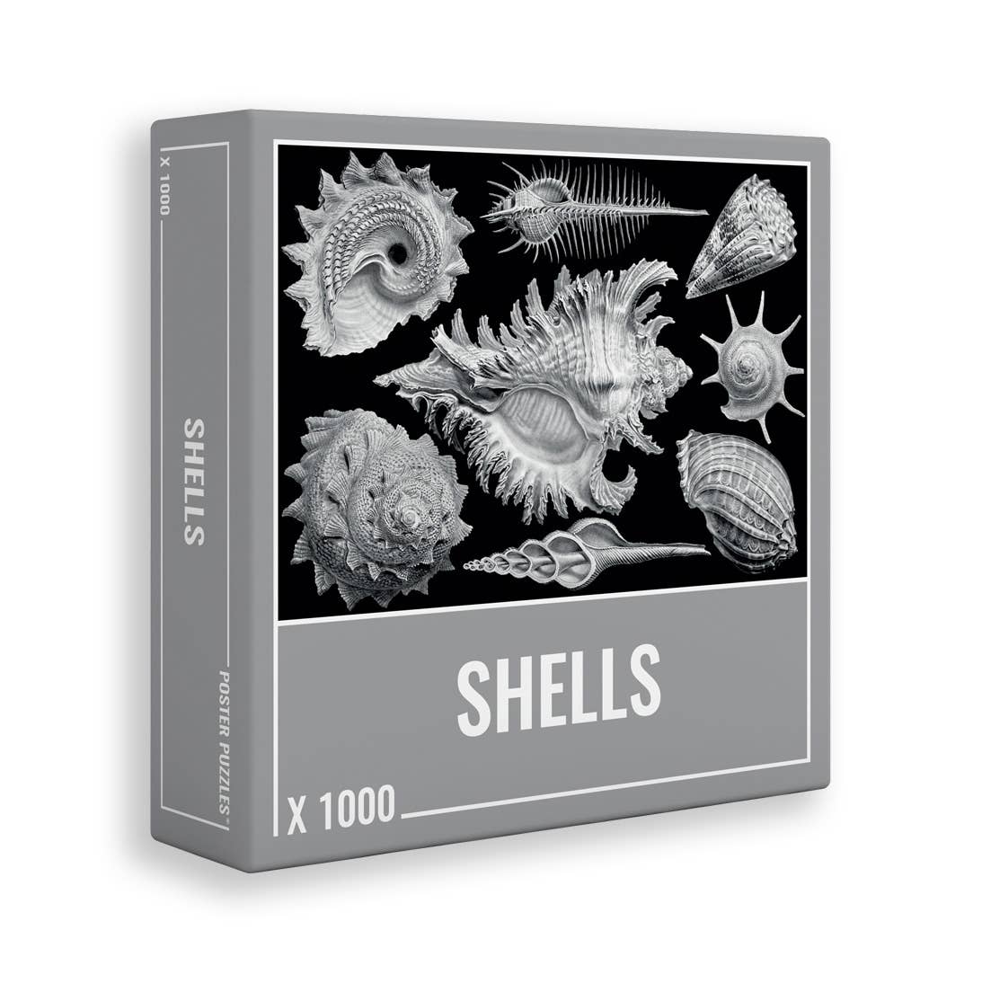 Shells – 1000 Piece Jigsaw Puzzle (Cloudberries)