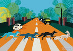 Abbey Road Foxes – 500 Piece Jigsaw Puzzle (Gibsons)