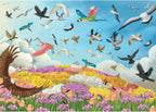 Amazing Birds – 1000 Piece Jigsaw Puzzle (Roovi)