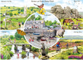 Artwork: Dartmoor & Exmoor by Richard Macneil - 1000 Piece Jigsaw Puzzle (Gibsons)