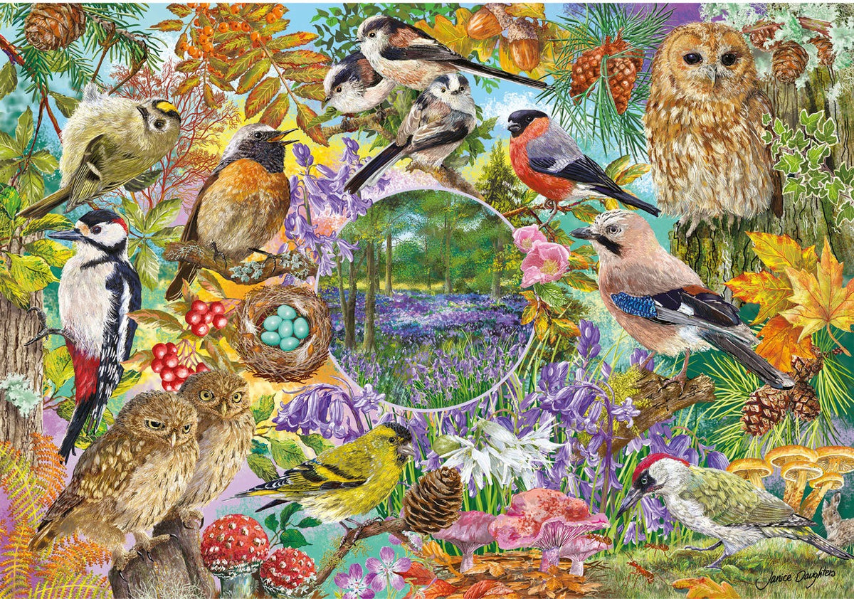 Artwork, puzzle 4 of 4: RSPB: Wings in the Wild - 4 x 500 Piece Jigsaw Puzzles (Gibsons)
