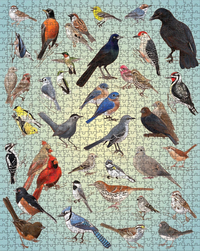 Backyard Birds by Casey Girard – 1000 Piece Jigsaw Puzzle (Pomegranate)