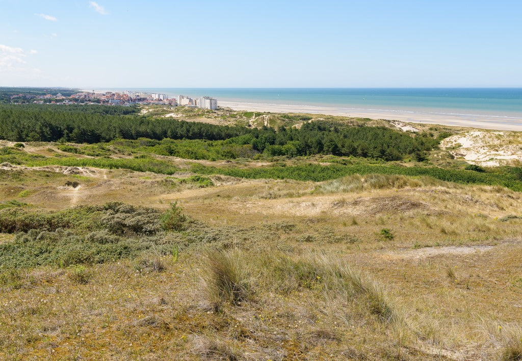 Dunes d'Hardelot, Côte d'Opale, France – 1000 Piece Jigsaw Puzzle (Bluebird)