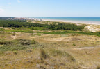 Dunes d'Hardelot, Côte d'Opale, France – 1000 Piece Jigsaw Puzzle (Bluebird)