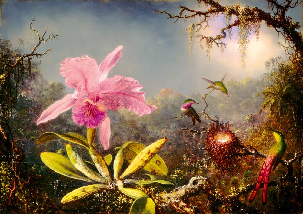 Martin Johnson Heade - Cattleya Orchid and Three Hummingbirds, 1871 - 1000 Piece Jigsaw Puzzle (Bluebird)