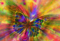Colorful Butterfly - 1000 Piece Jigsaw Puzzle (Bluebird)