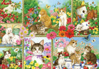 Cats and Kittens - 1000 Piece Jigsaw Puzzle (Bluebird)