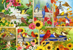 Feathers and Company - 1000 Piece Jigsaw Puzzle (Bluebird)