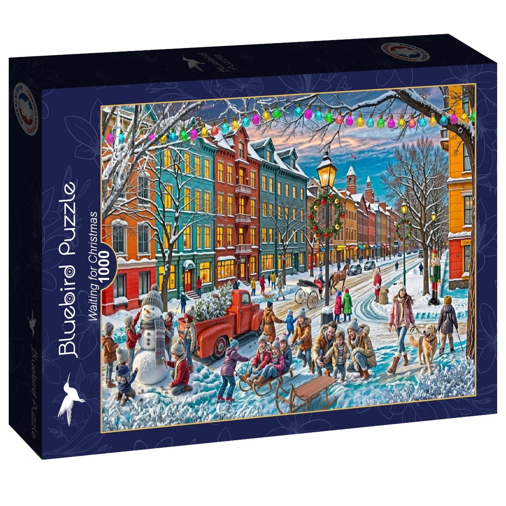 Waiting for Christmas - 1000 Piece Jigsaw Puzzle (Bluebird)
