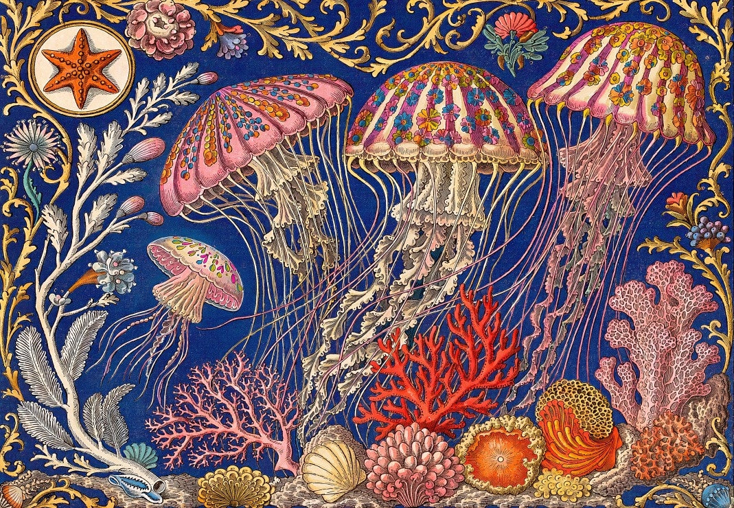 The Jelly Fish Ballet - 1000 Piece Jigsaw Puzzle (Bluebird)