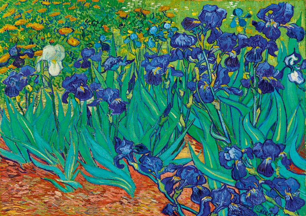 Bluebird - Vincent Van Gogh - Irises, 1889 - 1000 Piece Jigsaw Puzzle