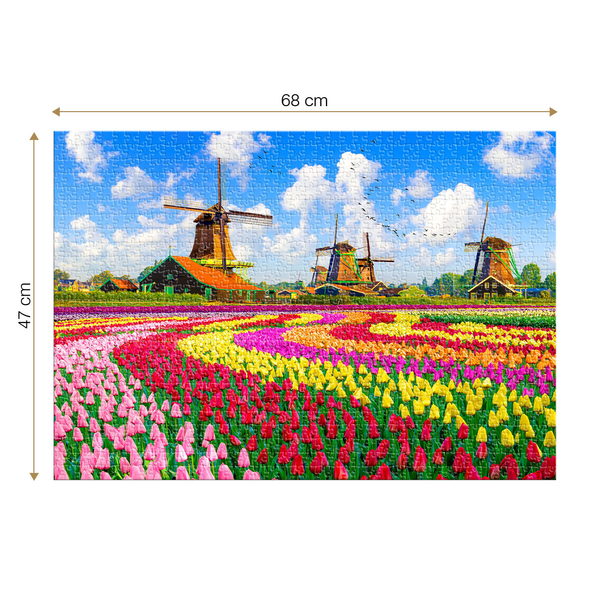 Dutch Windmills, Netherlands – 1000 Piece Jigsaw Puzzle (Roovie)