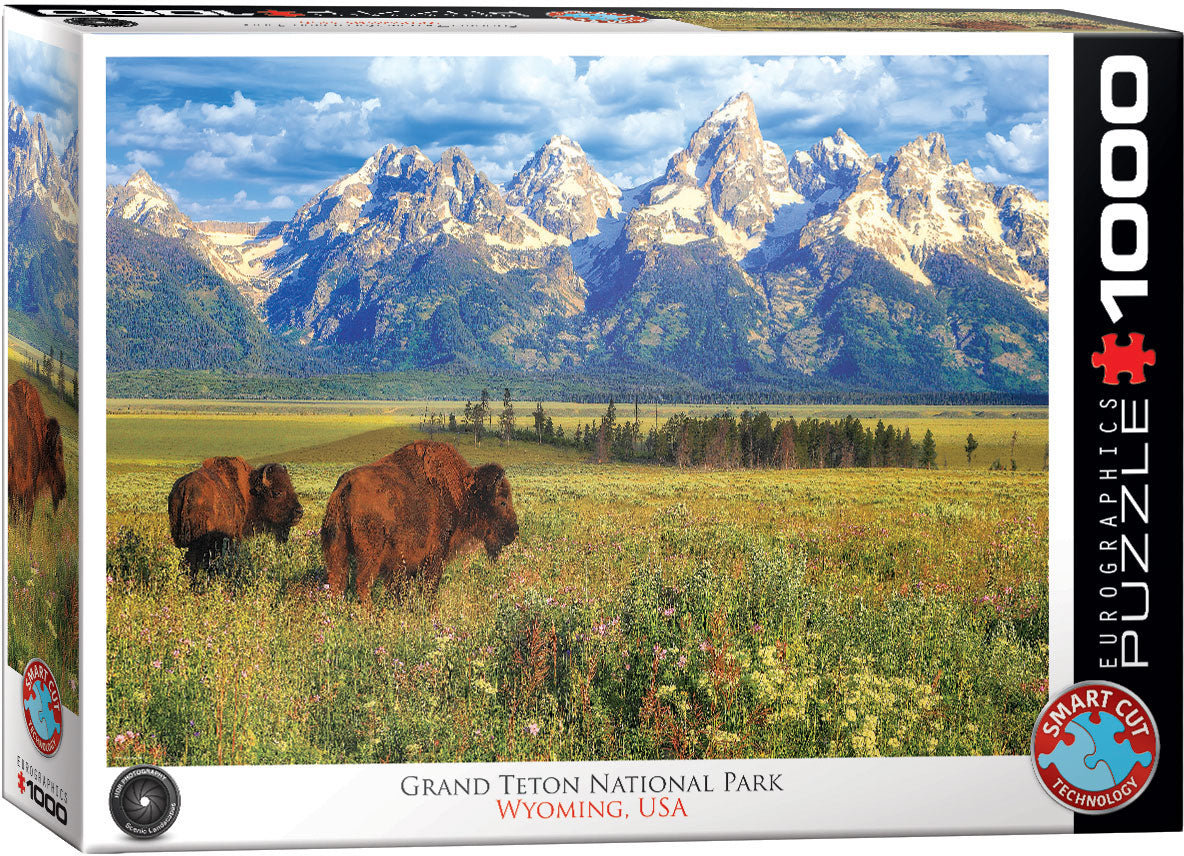 Eurographics - Grand Teton National Park - 1000 pieces