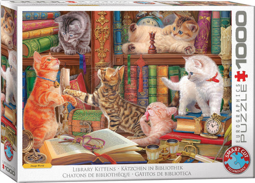 Library Kittens – 1000 Piece Jigsaw Puzzle (Eurographics) - Completed Puzzle