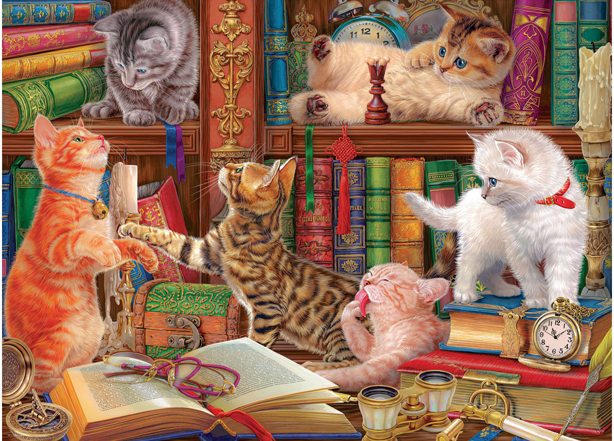 Eurographics - Library Kittens - 1000 Piece ** Pre-Order **