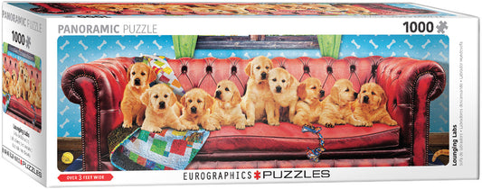 Eurographics - Lounging Labs - 1000 Panoramic pieces