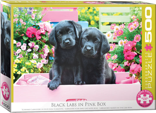 Eurographics - Black Labs in Pink Box - 500 pieces