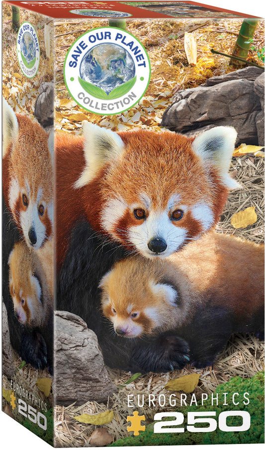 Eurographics - Red Pandas - 250 pieces