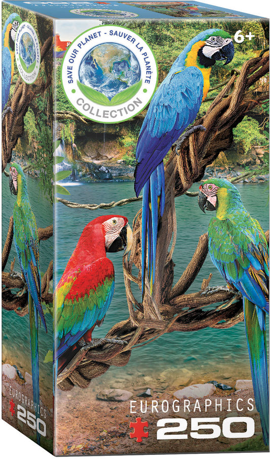 Eurographics - Macaws - 250 pieces