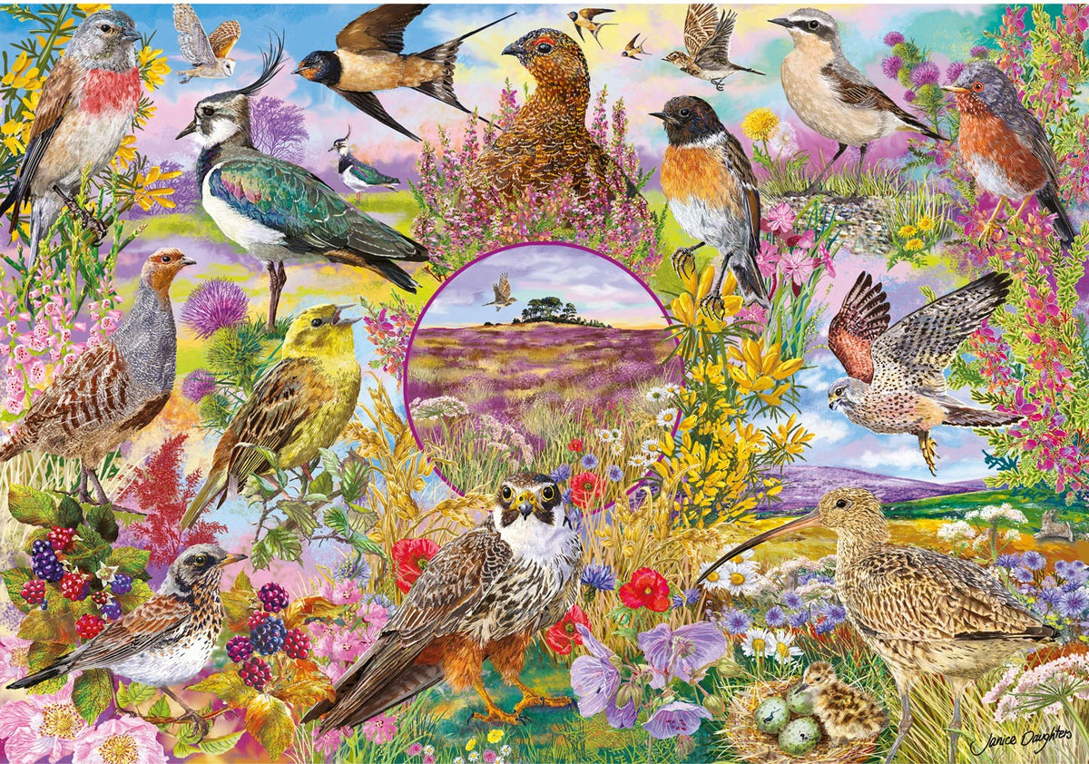Artwork, puzzle 1 of 4: RSPB: Wings in the Wild - 4 x 500 Piece Jigsaw Puzzles (Gibsons)
