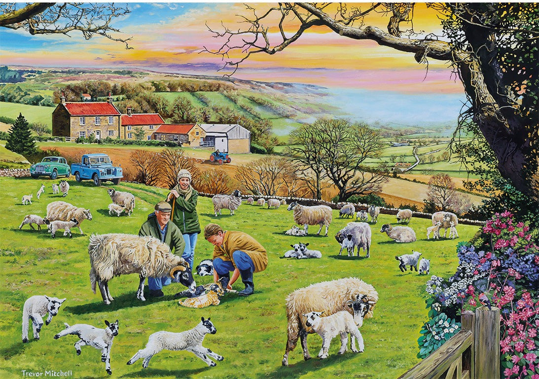 Artwork: Call the Vet – 4 x 500 Piece Jigsaw Puzzle (Gibsons)